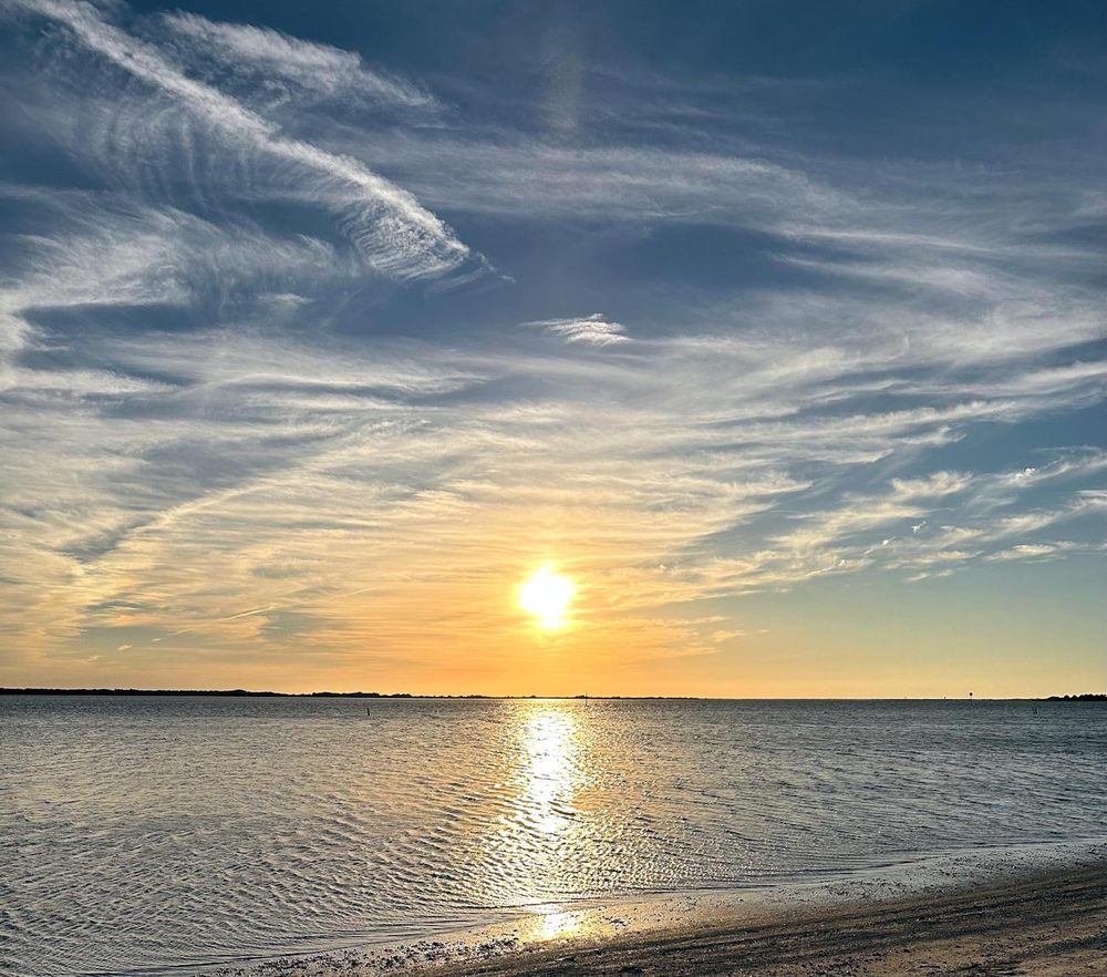 Palm Harbor Counseling Team - grief counselor in Palm Harbor, FL