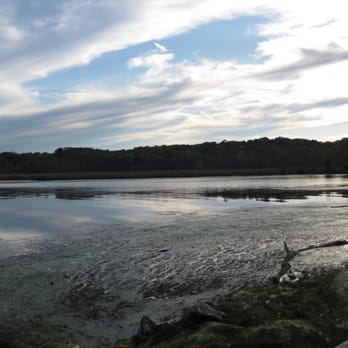 Dyke Marsh - Peaceful place to restore or recharge - Hiking Near Me - Alexandria, Virginia