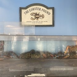 Twin Seafood - Lobsters sold here!