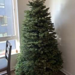 Pumpkin City's Christmas Trees