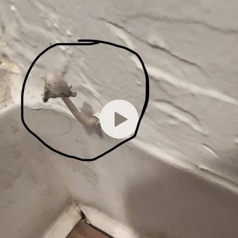 Crystal Springs Terrace Apartments - MoldY MUSHROOMS GROWING FROM WALL - Apartments Near Me - San Bruno, California