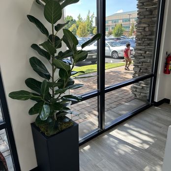 Workplants - Indoor Landscaping Near Me