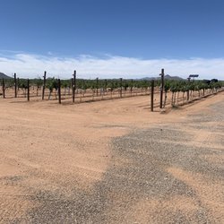 Hofmann Vineyards