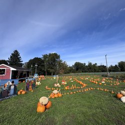 Specca Farms