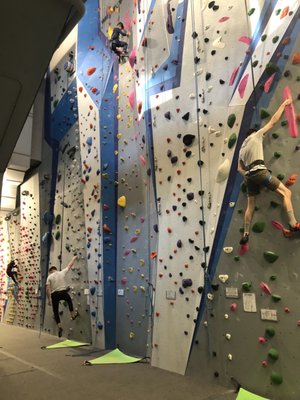 Central Rock Gym by null