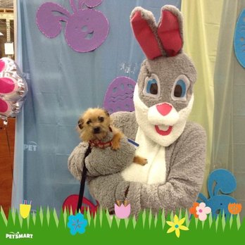 PetSmart - The Easter Bunny kinda freaked him out - Pet Training Near Me - Boca Raton, Florida PetSmart - The Easter Bunny kinda freaked him out - Pet Training Near Me - Boca Raton, Florida