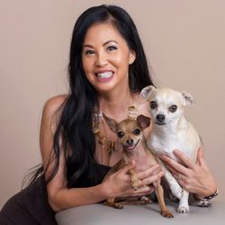 JCPenney Portraits - At Stoneridge Mall w/ Photographer Shawn