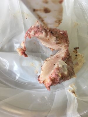 Baba Dari Mediterranean Grill 38 Photos 126 Reviews Middle Eastern 601 Packard St Ann Arbor Mi Restaurant Reviews Phone Number Menu