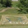 Photo of Tobaggon Disc Golf Course