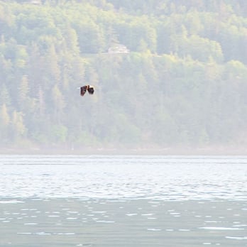 Outer Island Expeditions - Fishing Near Me - Eastsound, Washington