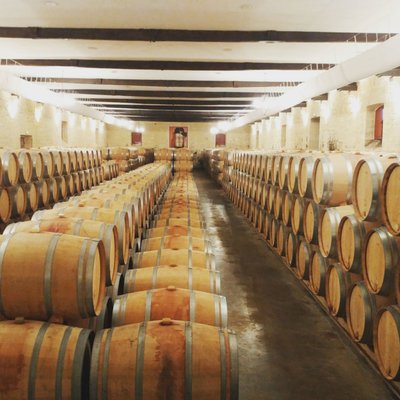 Bordeaux Wine Trails - Wine tours by null