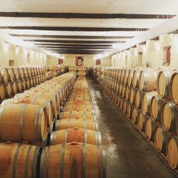 Bordeaux Wine Trails - bespoke wine tours in Bordeaux