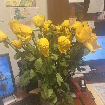 Vegas Rose Flowers - Florists Near Me - Las Vegas, Nevada Vegas Rose Flowers - Florists Near Me - Las Vegas, Nevada