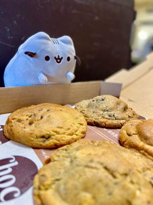 Choc Cookies by null