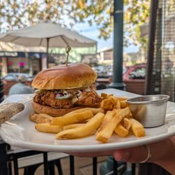 Finnegan's Marin