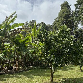 Paradise Meadows, South Point Road - Tours Near Me - Naalehu, Hawaii