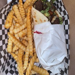 Falafel Wrap and Fries