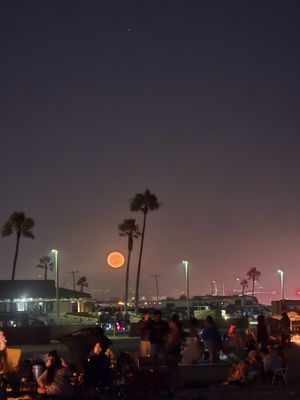 Huntington Beach by null