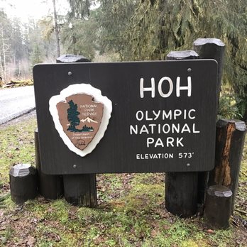 Hoh Rainforest - Hiking Near Me - Forks, Washington Hoh Rainforest - Hiking Near Me - Forks, Washington