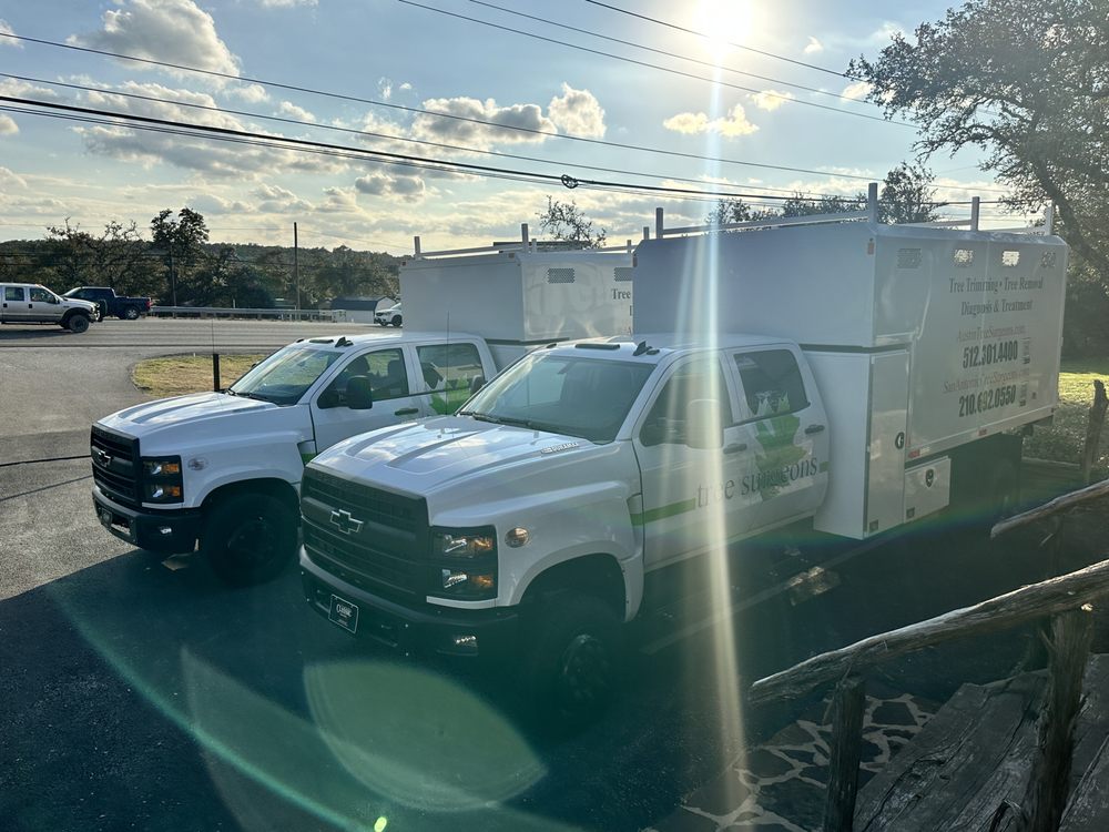 San Antonio Tree Surgeons - tree service in San Antonio, TX