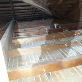 Attic Pros - Pest Control Near Me - Oakland, California