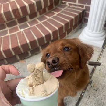 Gelato Dolceria - Desserts Near Me - Haddonfield, New Jersey