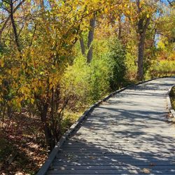 Walkway