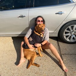 Premier Veterinary Care - Rye Lee