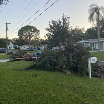 Morris Tree Service - Tree Services Near Me - Holiday, Florida