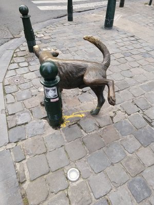 Zinneke Pis by null