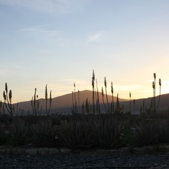 Adobe Guadalupe Vineyards & Inn - Wineries Near Me - Ensenada, BCN Adobe Guadalupe Vineyards & Inn - Wineries Near Me - Ensenada, BCN