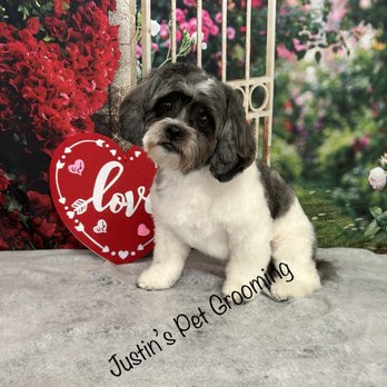 Justin’s Pet Grooming - Pet Groomers Near Me - Millerton, Pennsylvania