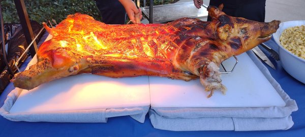 Crafted Culture by null