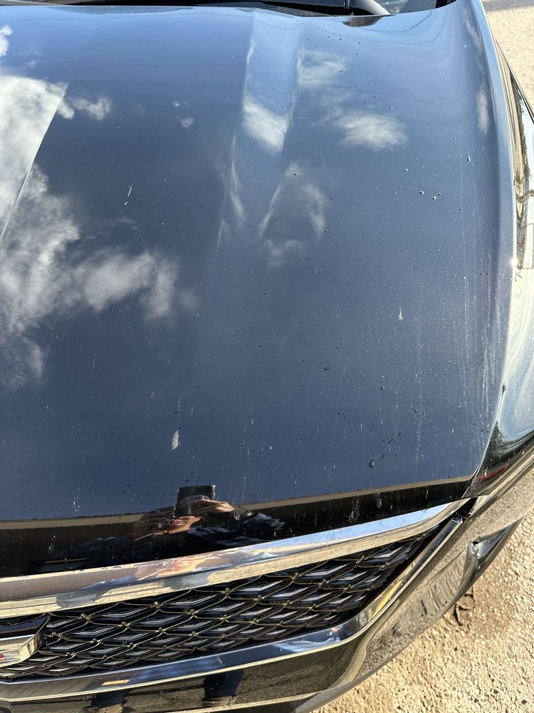 GLACIER CLEAN Updated September 2024 15 Photos & 11 Reviews 932