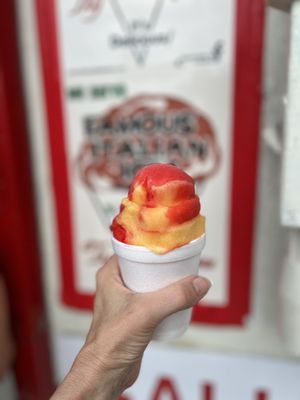 Famous Italian Ices, Inc. by null
