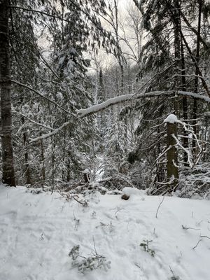 Arrowhead Provincial Park by null