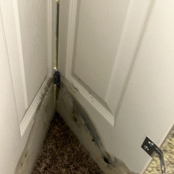 Epic Property Management - molded closet from AC unit leak - Property Management Near Me - Wyandotte, Michigan