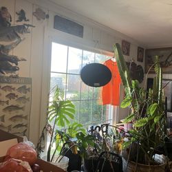 New Haven Pizza Shoppe - Inside