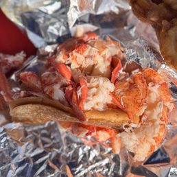 So much lobster