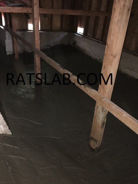 Slide of RatSlab Crawl Space Encapsulation & Waterproofing Services