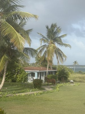 Blue Horizon Boutique Resort by null