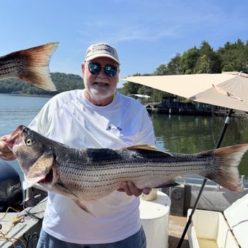Beaver Fever Guides - My best striper ever. Epic catch - Fishing Near Me - Garfield, Arkansas
