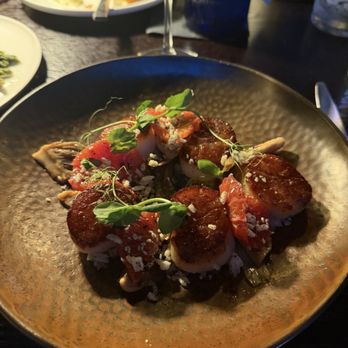 Fig Italian Kitchen & Bar - Scallops - Italian Near Me - Austin, Texas