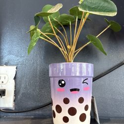 Pho 90 - Cute plant pot