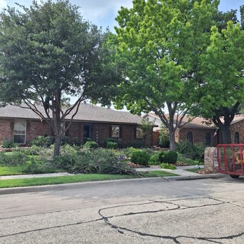 Wood Work Tree Service - Front Yard - Tree Services Near Me - Fort Worth, Texas
