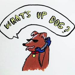 What's Up Dog - Dog daycare, dog walking, overnight care, and pet visits. What's Up Dog?!