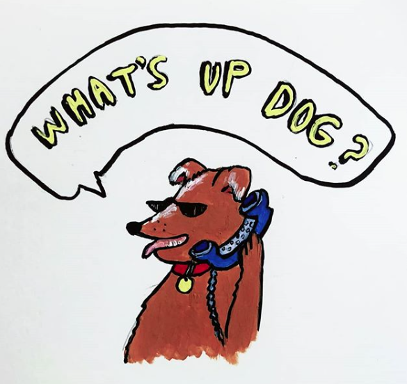 What's Up Dog - pet boarding facility in Brooklyn, NY