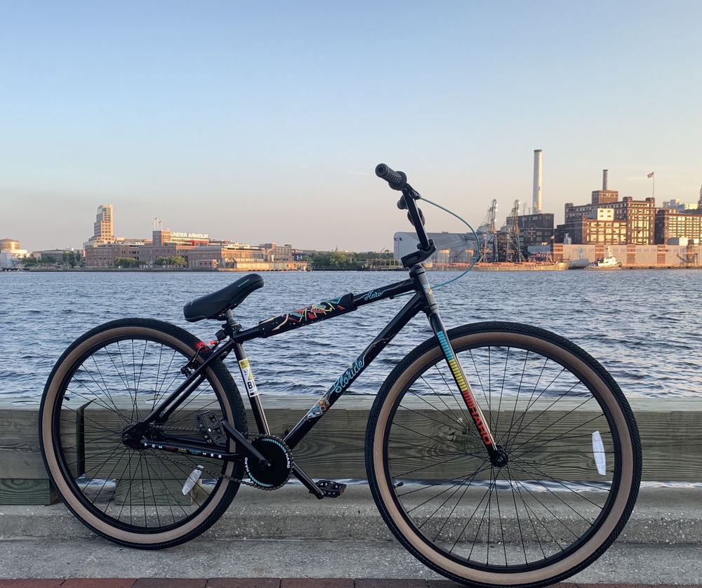 oliver's bike shop new tampa