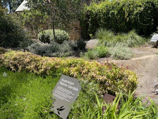 Adelaide Botanic Garden by null