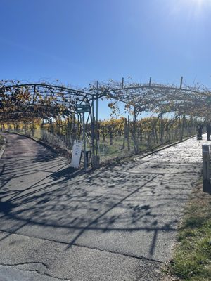 Belkin Family Lookout Farm - U-Pick Orchard - Taproom, Outdoor Dining and Market by null